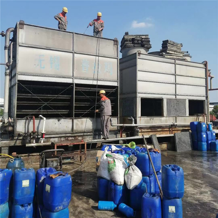 蒸發冷玉米视频在线观看4_副本 蒸發冷玉米视频在线观看4_副本